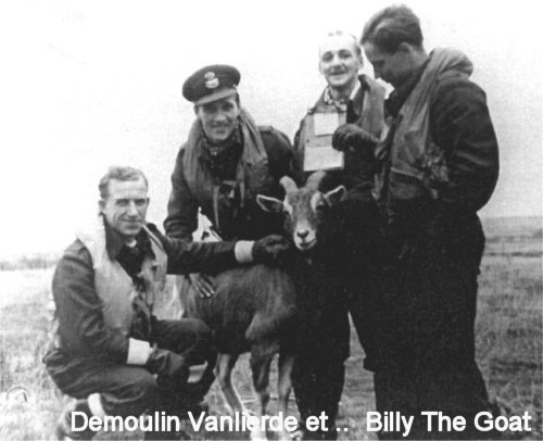 Demoulin-Vanlierde-BillytheGoat.jpg