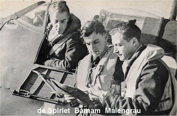 Despirletbarmanmalengrau.jpg