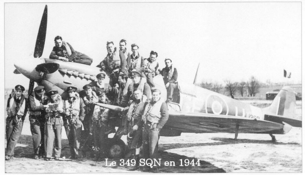 SQN349.jpg