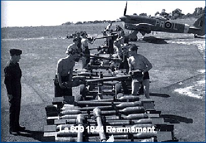 SQN60944.jpg